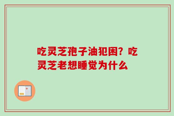 吃灵芝孢子油犯困?吃灵芝老想睡觉为什么 吃灵芝孢子油犯困?吃灵芝老想睡觉为什么