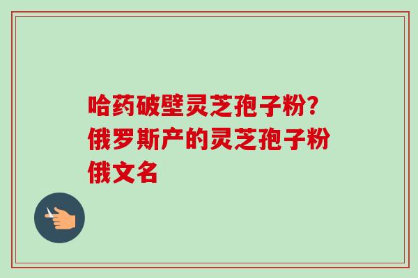 哈药破壁灵芝孢子粉?俄罗斯产的灵芝孢子粉俄文名 哈药破壁灵芝孢子粉?俄罗斯产的灵芝孢子粉俄文名