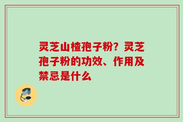 灵芝山楂孢子粉？灵芝孢子粉的功效、作用及禁忌是什么