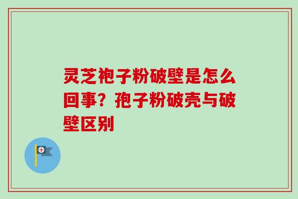 灵芝袍子粉破壁是怎么回事？孢子粉破壳与破壁区别