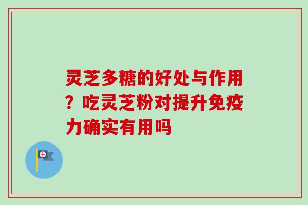 灵芝多糖的好处与作用？吃灵芝粉对提升免疫力确实有用吗