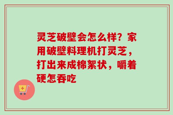 灵芝破壁会怎么样？家用破壁料理机打灵芝，打出来成棉絮状，嚼着硬怎吞吃