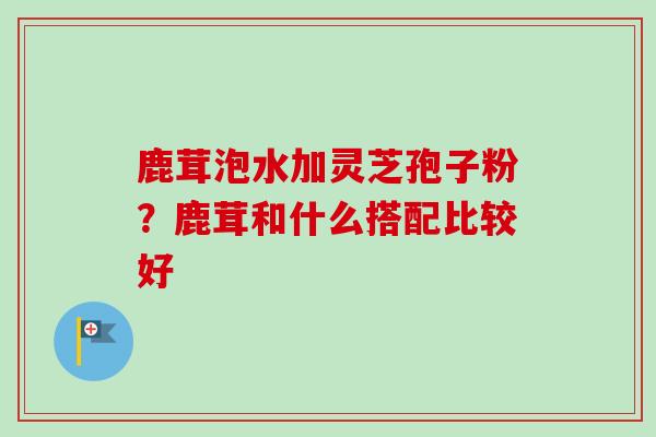 鹿茸泡水加灵芝孢子粉？鹿茸和什么搭配比较好