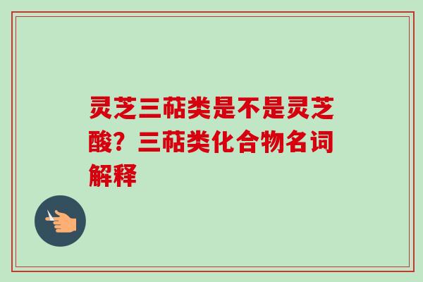 灵芝三萜类是不是灵芝酸？三萜类化合物名词解释