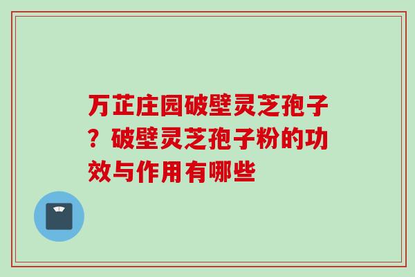 万芷庄园破壁灵芝孢子？破壁灵芝孢子粉的功效与作用有哪些