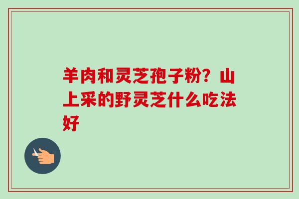 羊肉和灵芝孢子粉？山上采的野灵芝什么吃法好