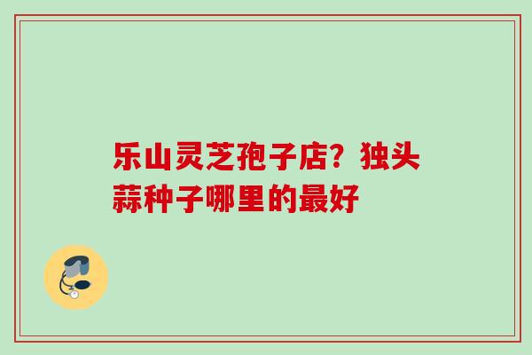 乐山灵芝孢子店？独头蒜种子哪里的好