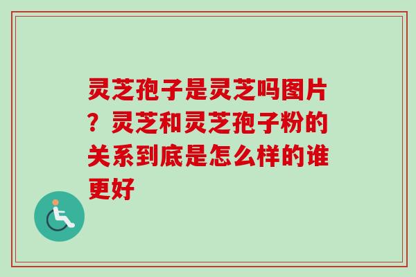 灵芝孢子是灵芝吗图片？灵芝和灵芝孢子粉的关系到底是怎么样的谁更好