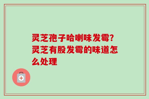灵芝孢子哈喇味发霉？灵芝有股发霉的味道怎么处理