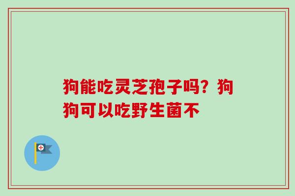 狗能吃灵芝孢子吗？狗狗可以吃野生菌不