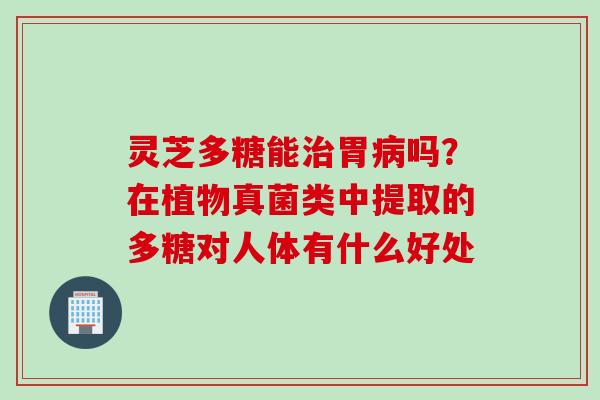 灵芝多糖能胃吗？在植物真菌类中提取的多糖对人体有什么好处
