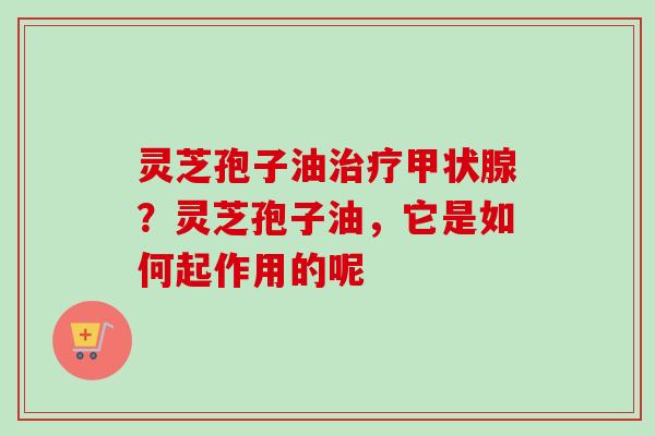 灵芝孢子油治疗甲状腺？灵芝孢子油，它是如何起作用的呢