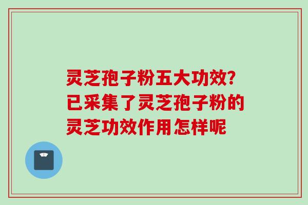 灵芝孢子粉五大功效？已采集了灵芝孢子粉的灵芝功效作用怎样呢