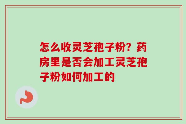 怎么收灵芝孢子粉？药房里是否会加工灵芝孢子粉如何加工的
