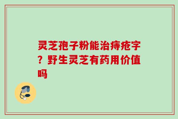 灵芝孢子粉能治痔疮字？野生灵芝有药用价值吗