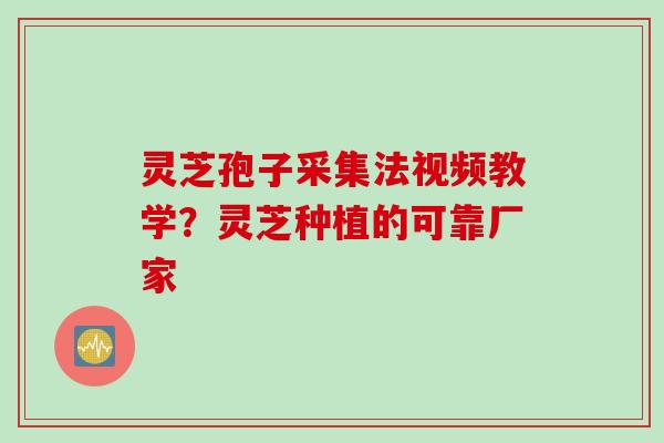 灵芝孢子采集法视频教学？灵芝种植的可靠厂家