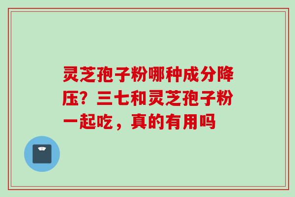 灵芝孢子粉哪种成分降压？三七和灵芝孢子粉一起吃，真的有用吗