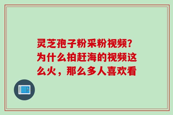 灵芝孢子粉采粉视频？为什么拍赶海的视频这么火，那么多人喜欢看