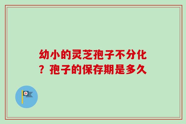 幼小的灵芝孢子不分化？孢子的保存期是多久