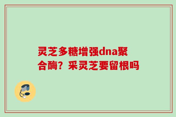 灵芝多糖增强dna聚合酶？采灵芝要留根吗