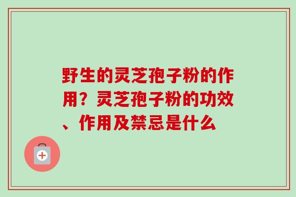野生的灵芝孢子粉的作用？灵芝孢子粉的功效、作用及禁忌是什么