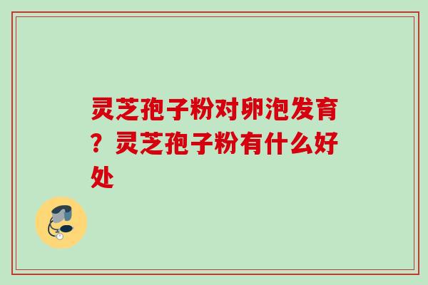 灵芝孢子粉对卵泡发育？灵芝孢子粉有什么好处