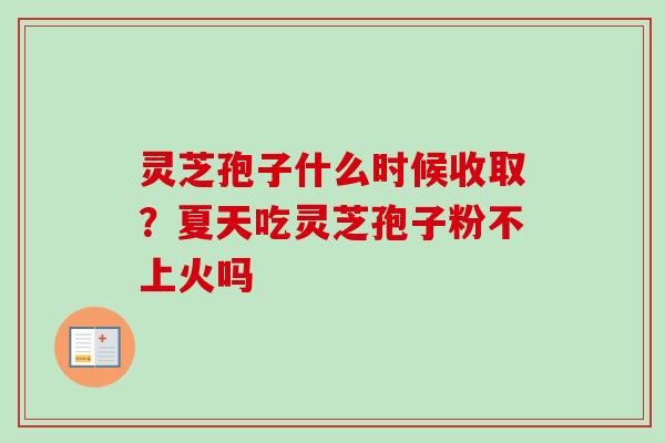 灵芝孢子什么时候收取？夏天吃灵芝孢子粉不上火吗