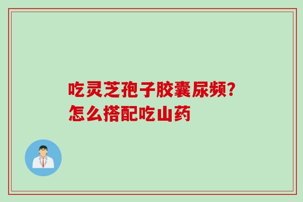 吃灵芝孢子胶囊尿频？怎么搭配吃山药
