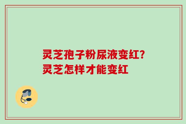 灵芝孢子粉尿液变红？灵芝怎样才能变红