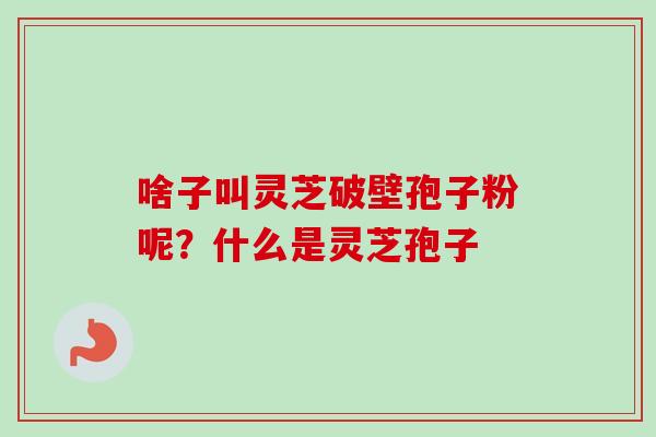 啥子叫灵芝破壁孢子粉呢？什么是灵芝孢子