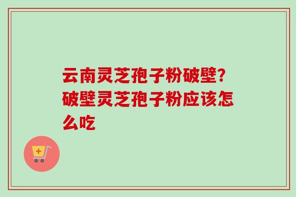 云南灵芝孢子粉破壁？破壁灵芝孢子粉应该怎么吃