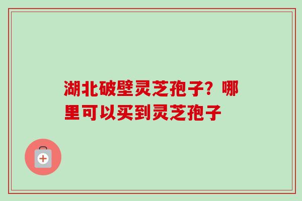 湖北破壁灵芝孢子？哪里可以买到灵芝孢子