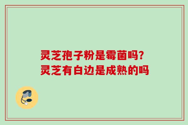 灵芝孢子粉是霉菌吗？灵芝有白边是成熟的吗