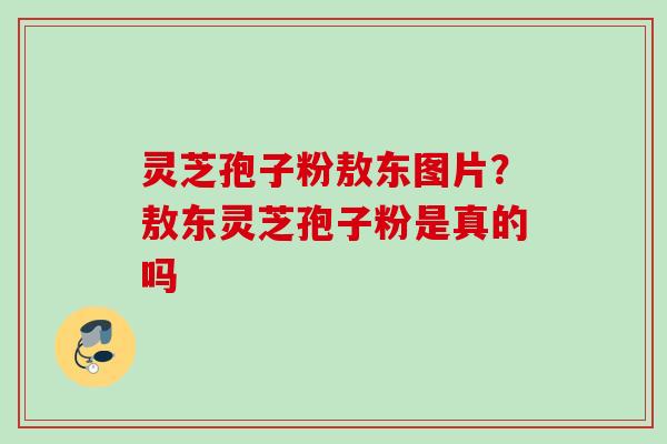 灵芝孢子粉敖东图片？敖东灵芝孢子粉是真的吗