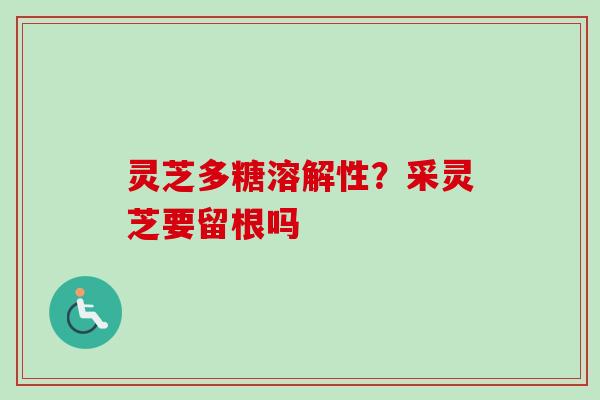 灵芝多糖溶解性？采灵芝要留根吗