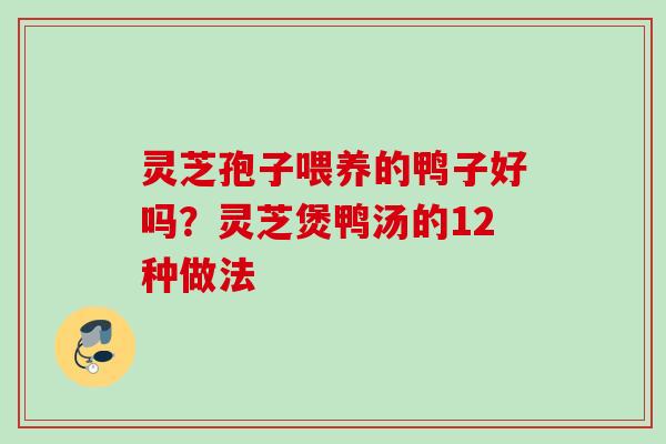 灵芝孢子喂养的鸭子好吗?灵芝煲鸭汤的12种做法 灵芝孢子喂养的鸭子好吗?灵芝煲鸭汤的12种做法