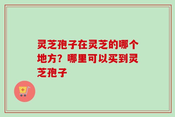 灵芝孢子在灵芝的哪个地方？哪里可以买到灵芝孢子