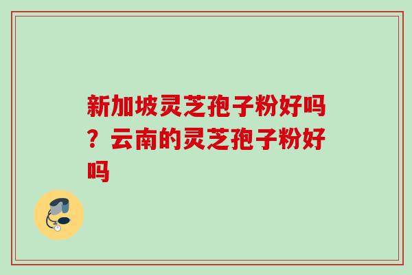 新加坡灵芝孢子粉好吗?云南的灵芝孢子粉好吗 新加坡灵芝孢子粉好吗?云南的灵芝孢子粉好吗
