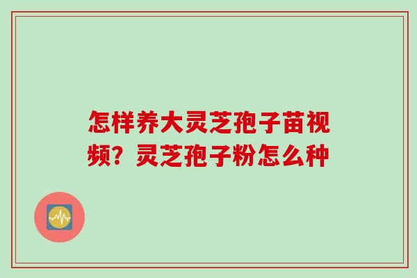 怎样养大灵芝孢子苗视频?灵芝孢子粉怎么种 怎样养大灵芝孢子苗视频?灵芝孢子粉怎么种