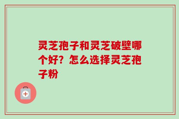 灵芝孢子和灵芝破壁哪个好？怎么选择灵芝孢子粉