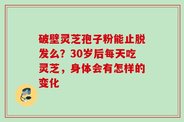 破壁灵芝孢子粉能止脱发么？30岁后每天吃灵芝，身体会有怎样的变化