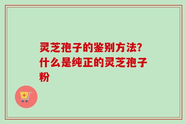 灵芝孢子的鉴别方法？什么是纯正的灵芝孢子粉