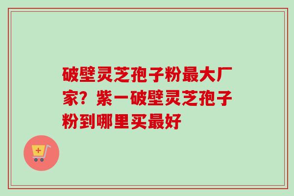 破壁灵芝孢子粉最大厂家？紫一破壁灵芝孢子粉到哪里买最好
