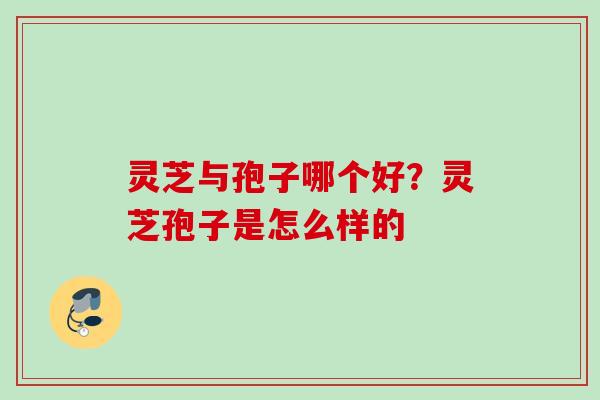 灵芝与孢子哪个好？灵芝孢子是怎么样的