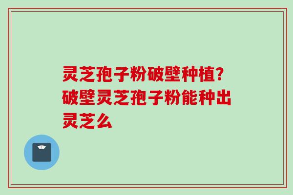 灵芝孢子粉破壁种植？破壁灵芝孢子粉能种出灵芝么