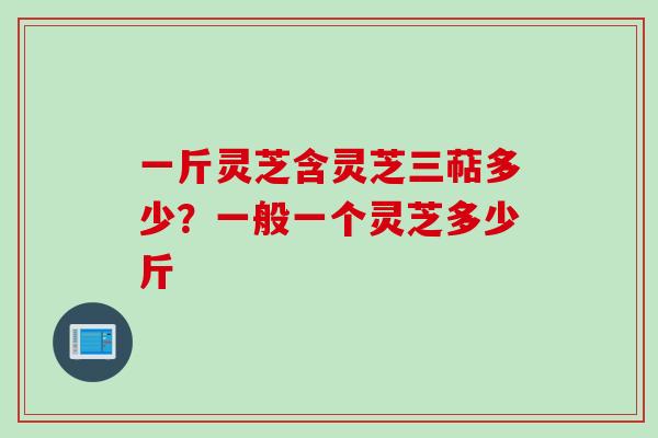 一斤灵芝含灵芝三萜多少？一般一个灵芝多少斤