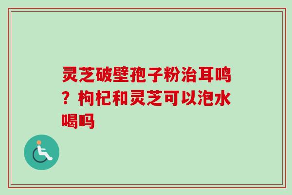 灵芝破壁孢子粉耳鸣?枸杞和灵芝可以泡水喝吗 灵芝破壁孢子粉耳鸣?枸杞和灵芝可以泡水喝吗