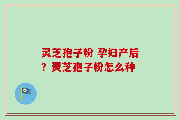 灵芝孢子粉 孕妇产后？灵芝孢子粉怎么种