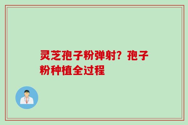 灵芝孢子粉弹射？孢子粉种植全过程