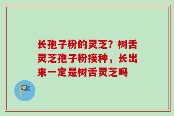 长孢子粉的灵芝？树舌灵芝孢子粉接种，长出来一定是树舌灵芝吗